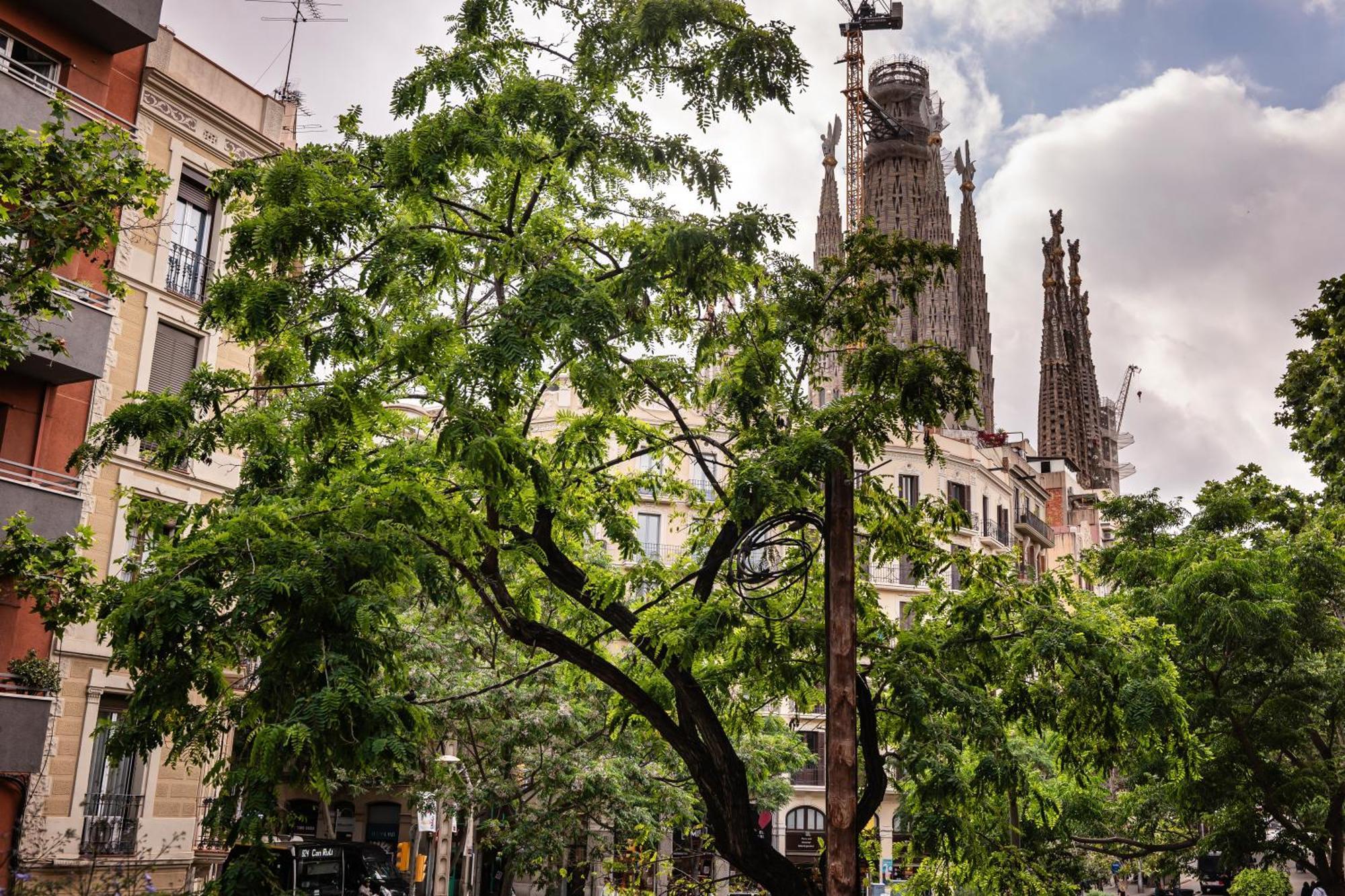 Sweett - Rosemarine Apartment Barcelona